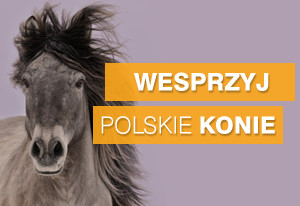 Wesprzyj polskie konie